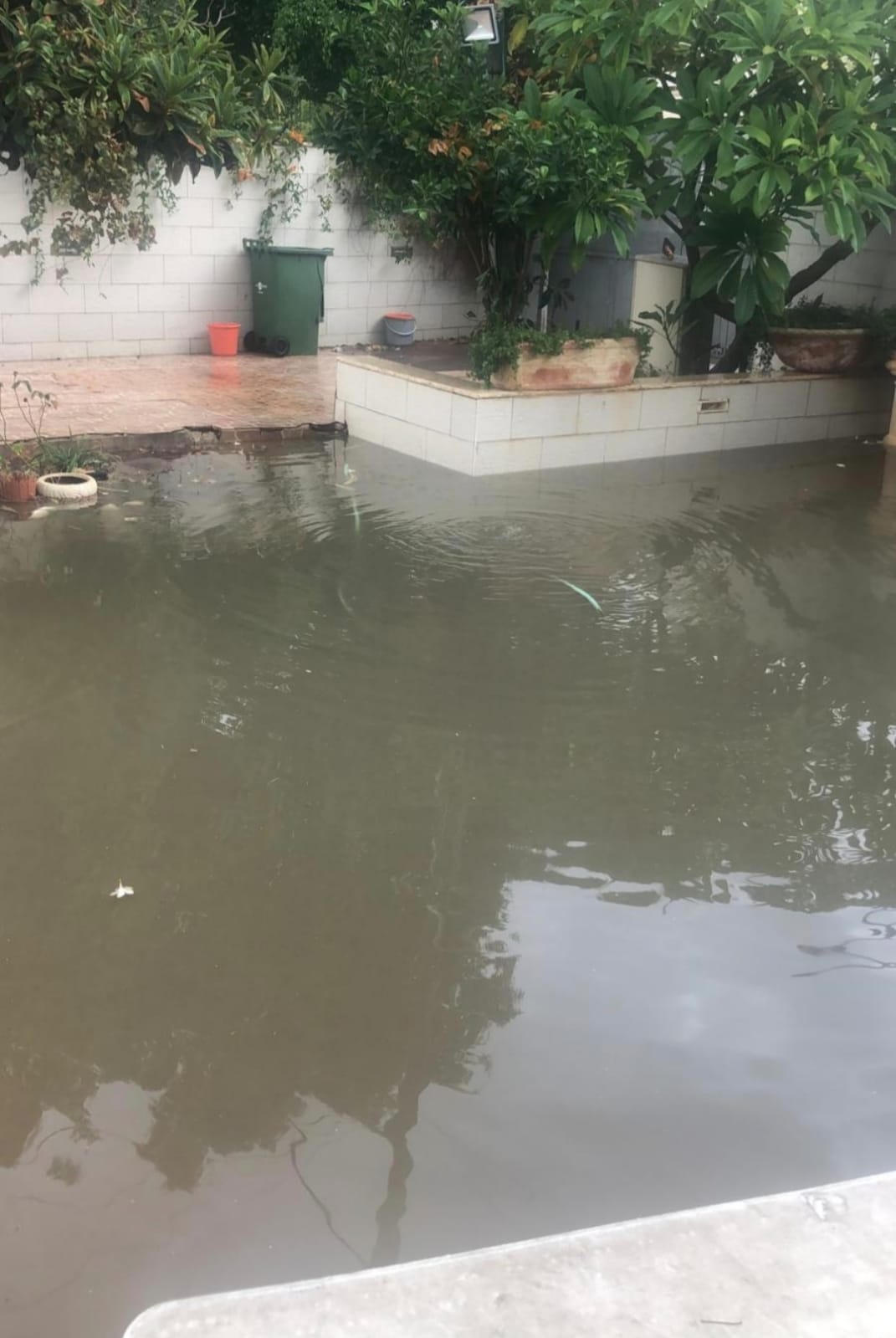 WhatsApp Image 2021-11-20 at 2.45.21 PM (1).jpeg